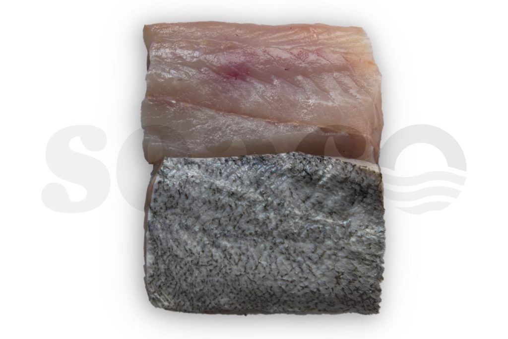 Koolvisfilet zwart met vel portie