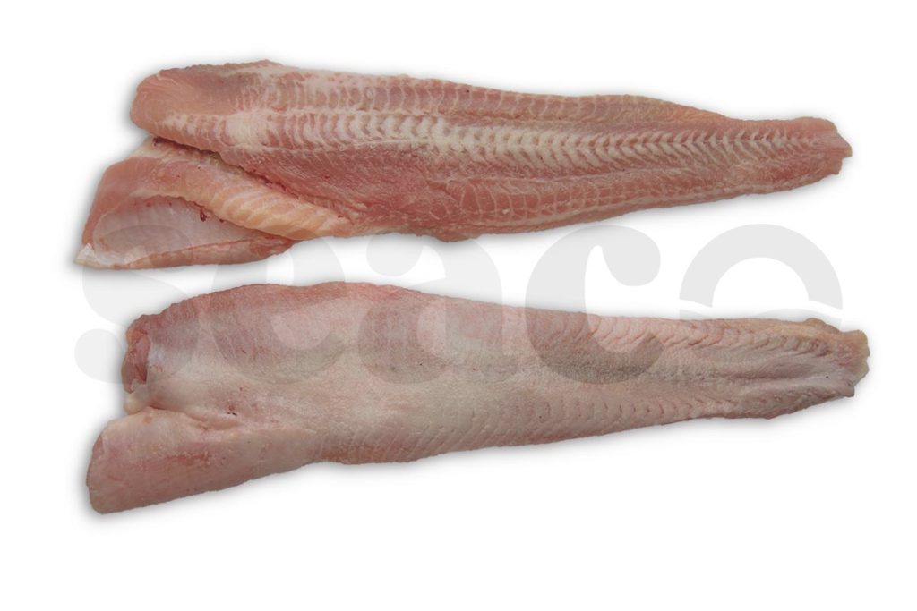 Meervalfilet zonder vel 200-400g