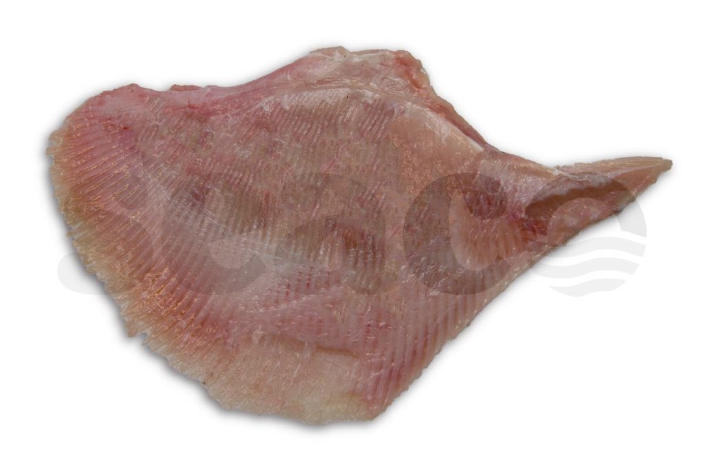 Rogvleugel (2) zonder vel 600-1000g