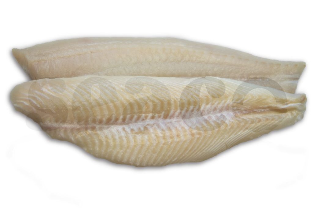 Scholfilet (2) zonder vel <100g