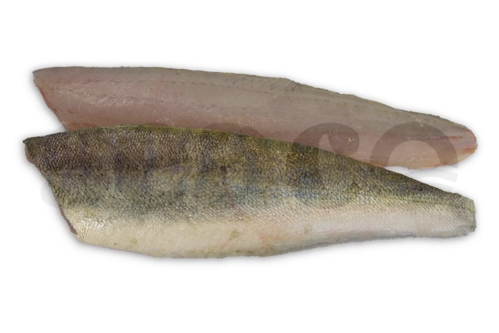 Snoekbaarsfilet met vel 300-500g