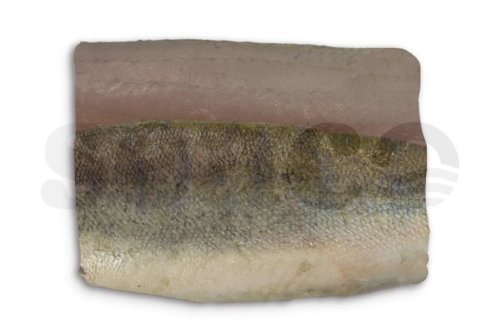 Snoekbaarsfilet met vel portie