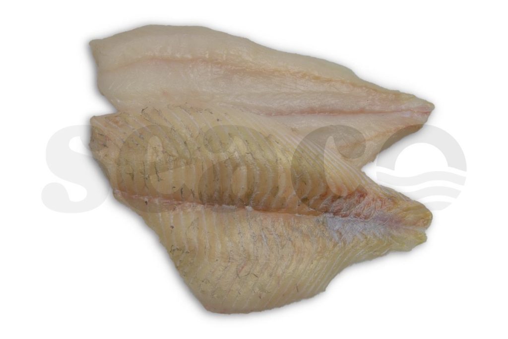 Tarbotfilet (4) zonder vel 200-400g