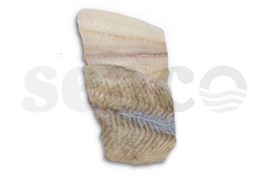 Tarbotfilet zonder vel portie