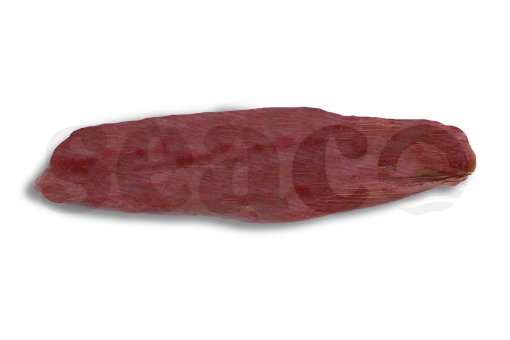 Tonijnfilet AAA (refreshed)