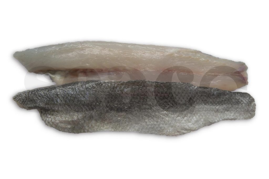 Zeebaarsfilet met vel portie