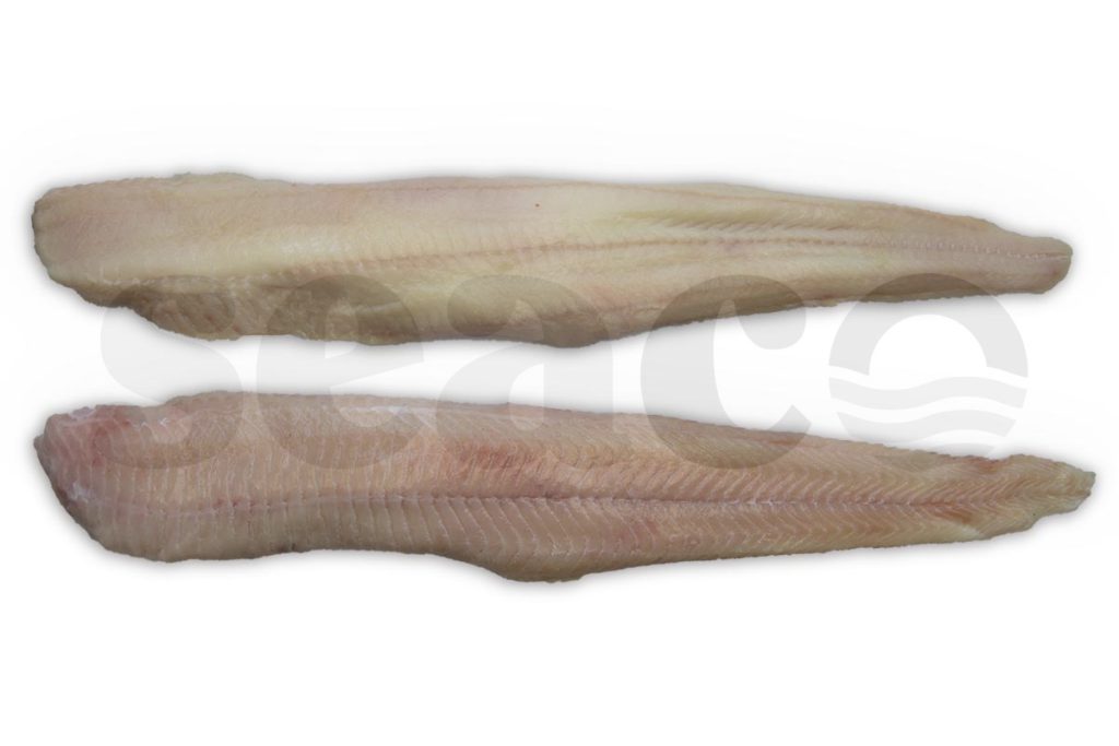 Zeewolffilet zonder vel <800g