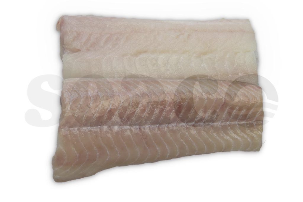 Zeewolffilet zonder vel portie 100g