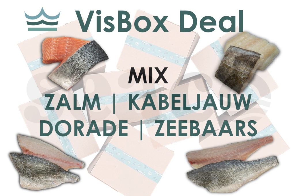 VisBox Mix DV