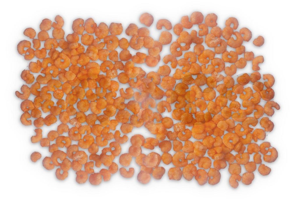 Garnalen gekookt 200-300 1kg DV