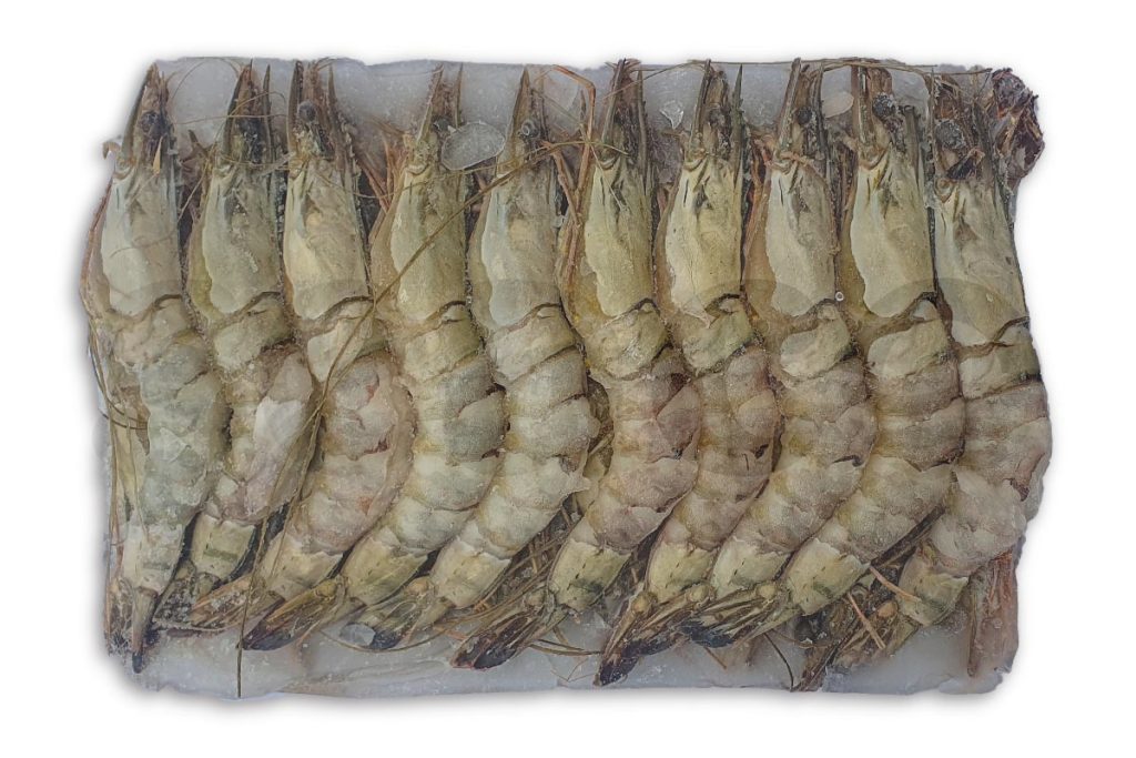 Gamba black tiger bodypeel 16-20 1kg DV