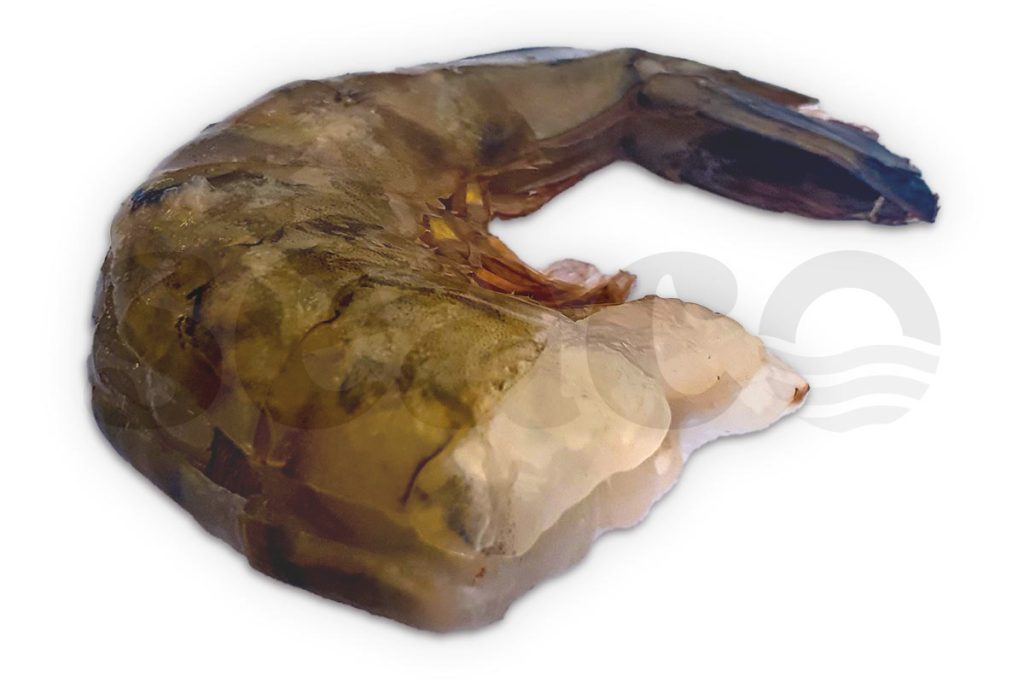 Gamba black tiger easy peel 13-15 1kg DV