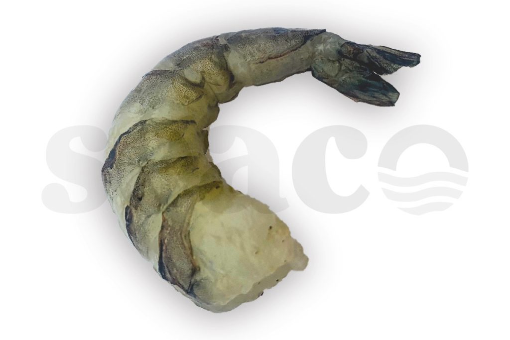 Gamba black tiger gepeld 16-20 1kg DV