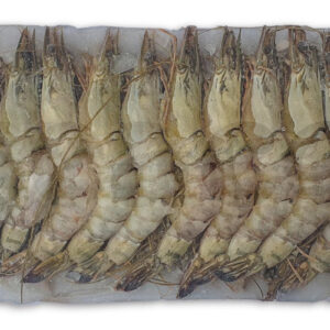 Gamba black tiger bodypeel 8-12 1kg DV