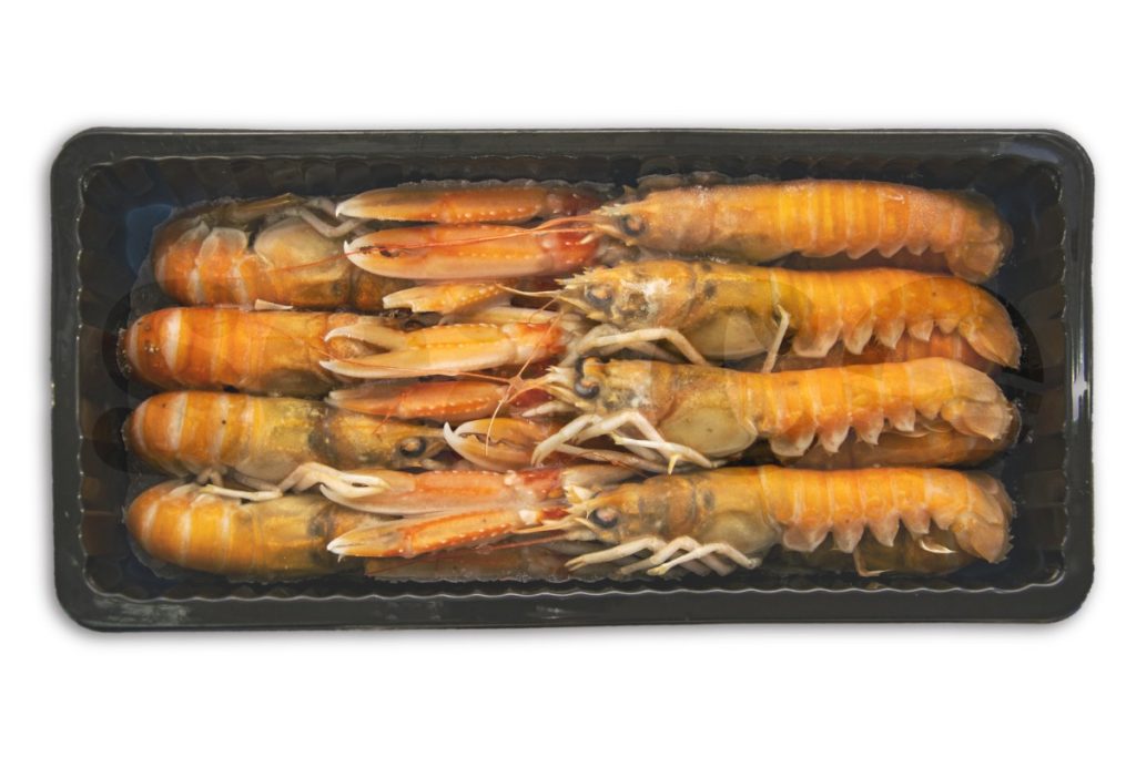 Langoustine 8-12 1kg DV