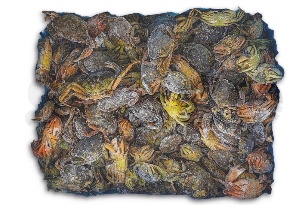 Strandkrabben 5kg DV