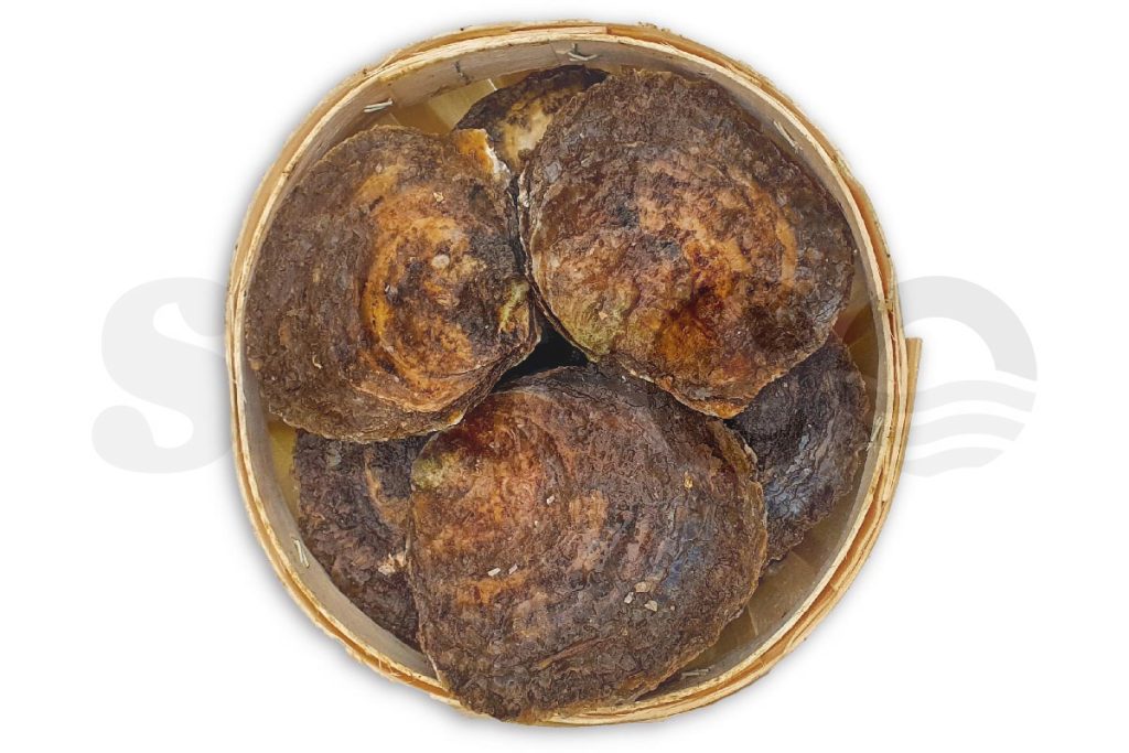 Oester plat Zeeuws 4/0 12st