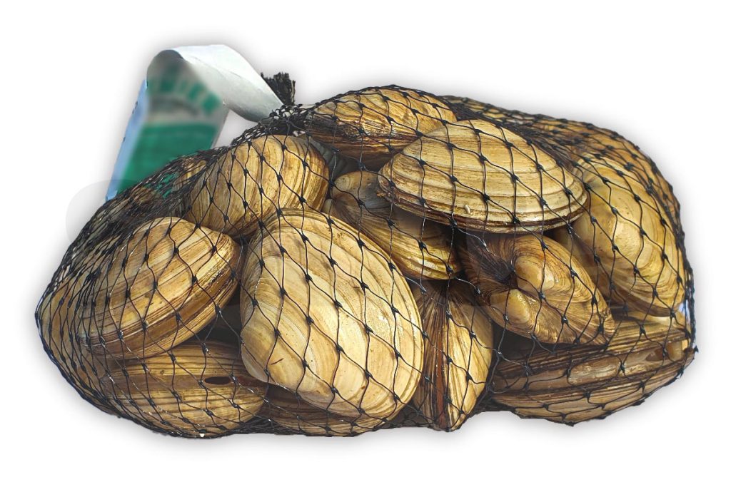 Witte venusschelpen 1kg